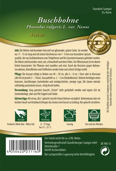 Quedlinburger Buschbohne Ferrari - Gemüsesamen