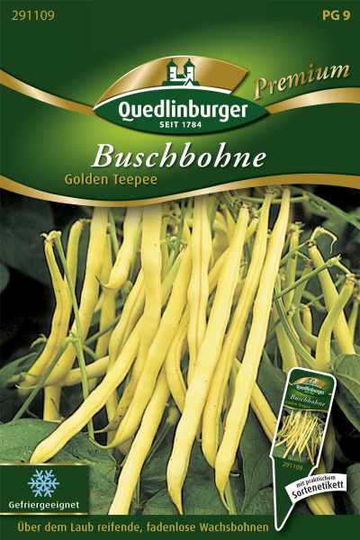 Quedlinburger Buschbohne  Golden Teepee - Gemüsesamen