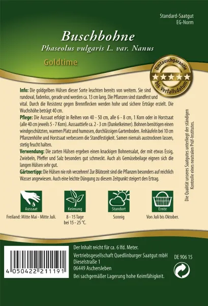 Quedlinburger Buschbohne Goldtime - Gemüsesamen