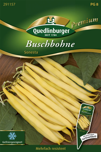 Quedlinburger Buschbohne Sonesta - Gemüsesamen