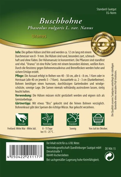 Quedlinburger Buschbohne Uranus - Gemüsesamen