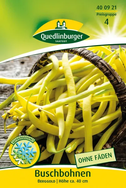 Quedlinburger Buschbohnen Berggold - Gemüsesamen Quedlinburger Buschbohnen Berggold - Gemüsesamen