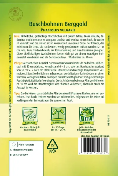 Quedlinburger Buschbohnen Berggold - Gemüsesamen