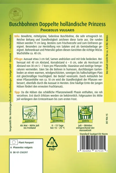 Quedlinburger Buschbohnen Doppelte holländische Prinzess - Gemüsesamen