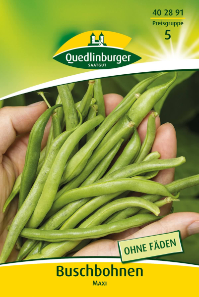 Quedlinburger Buschbohnen Maxi - Gemüsesamen