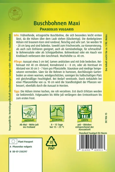 Quedlinburger Buschbohnen Maxi - Gemüsesamen