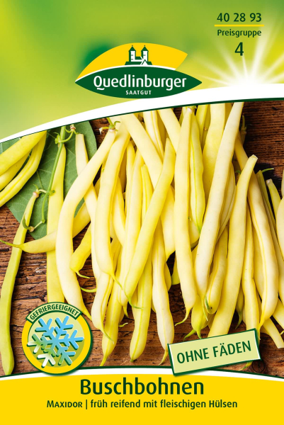 Quedlinburger Buschbohnen Maxidor - Gemüsesamen
