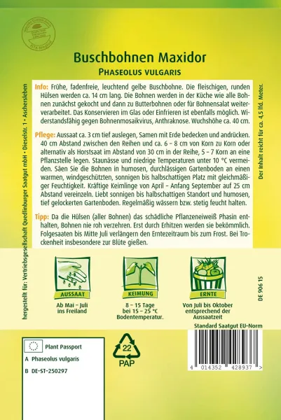 Quedlinburger Buschbohnen Maxidor - Gemüsesamen