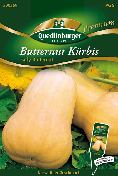 Quedlinburger Butternut Kürbis Early Buttern - Gemüsesamen