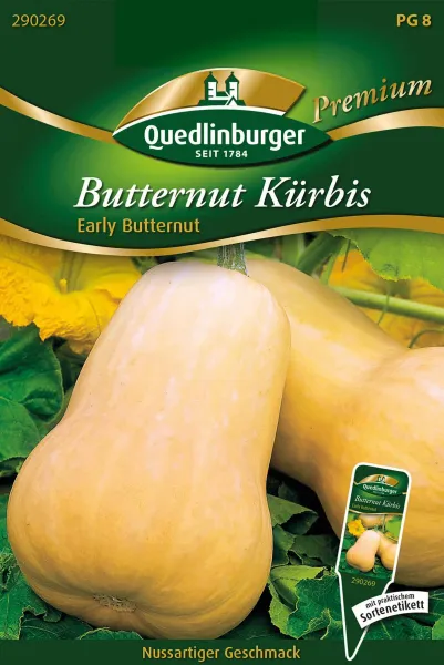 Quedlinburger Butternut Kürbis Early Buttern - Gemüsesamen