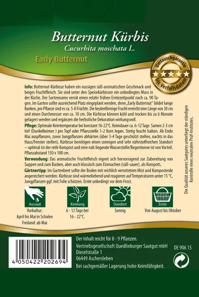 Quedlinburger Butternut Kürbis Early Buttern - Gemüsesamen