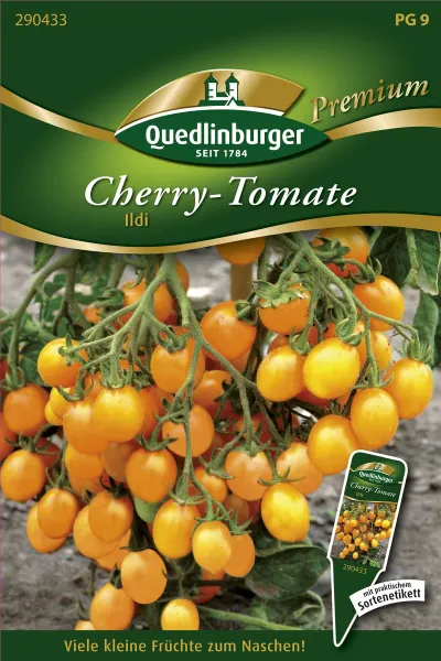 Quedlinburger Cherry-Tomate Ildi - Gemüsesamen