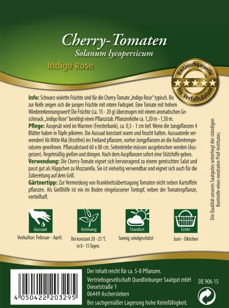 Quedlinburger Cherry-Tomate Indigo Rose - Gemüsesamen