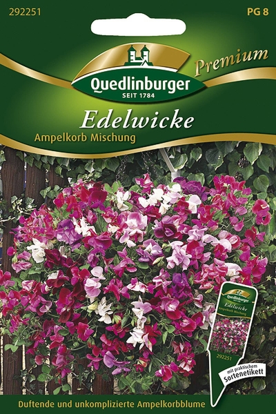 Quedlinburger Edelwicke Ampelkorb Mischung - Blumensamen