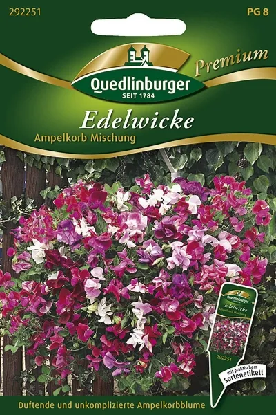 Quedlinburger Edelwicke Ampelkorb Mischung - Blumensamen