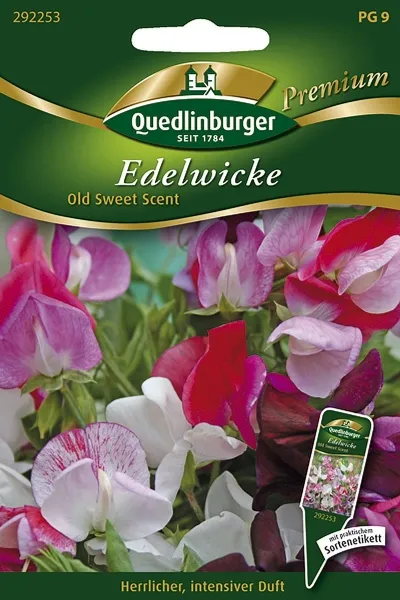 Quedlinburger Edelwicke Old Sweet Scent - Blumensamen