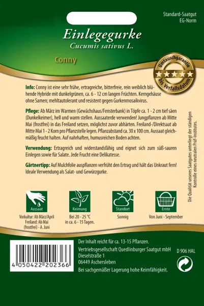Quedlinburger Einlegegurke Conny - Gemüsesamen