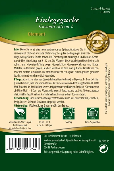 Quedlinburger Einlegegurke Diamant - Gemüsesamen