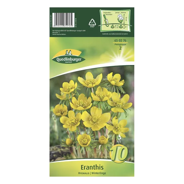 Quedlinburger Eranthis Winterlinge gelb KP - Blumenzwiebeln