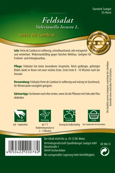 Quedlinburger Feldsalat Verte de Cambrai - Premium Gemüsesamen