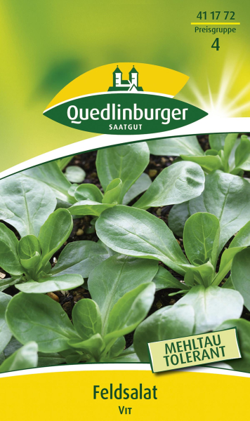 Quedlinburger Feldsalat Vit - Gemüsesamen