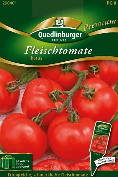 Quedlinburger Fleischtomate Ikarus - Gemüsesamen