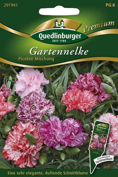 Quedlinburger Gartennelke Picotee Mischung - Blumensamen