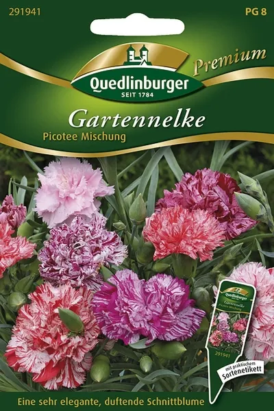 Quedlinburger Gartennelke Picotee Mischung - Blumensamen