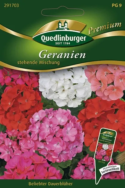 Quedlinburger Geranien stehende Mischung - Blumensamen