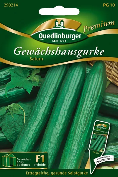 Quedlinburger Gewächshausgurke Saturn - Gemüsesamen