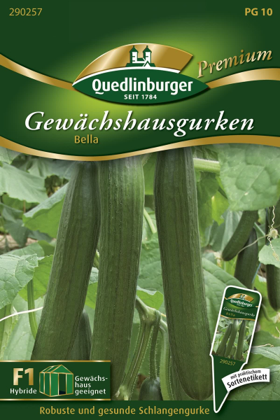 Quedlinburger Gewächshausgurken Bella - Gemüsesamen