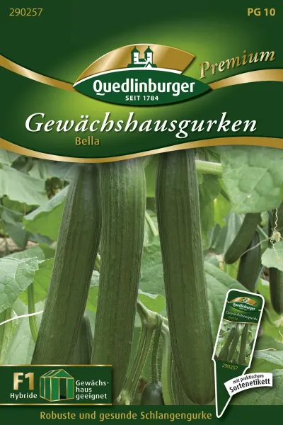 Quedlinburger Gewächshausgurken Bella - Gemüsesamen
