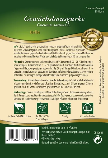 Quedlinburger Gewächshausgurken Bella - Gemüsesamen
