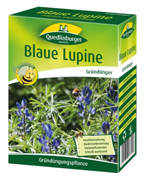 Quedlinburger Gründünger Blaue Lupine Lupinus für ca. 15 m² 500 g - Faltschachtel Quedlinburger Gründünger Blaue Lupine Lupinus für ca. 15 m² 500 g - Faltschachtel