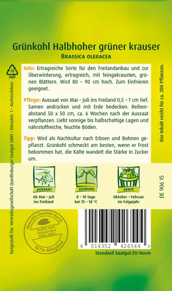 Quedlinburger Grünkohl Halbhoher grüner krauser - Gemüsesamen