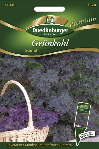 Quedlinburger Grünkohl Scarlet - Gemüsesamen