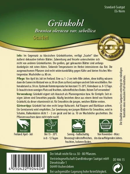 Quedlinburger Grünkohl Scarlet - Gemüsesamen