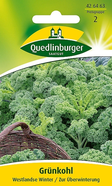 Quedlinburger Grünkohl Westlandse Winter - Gemüsesamen
