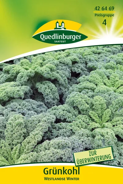 Quedlinburger Grünkohl Westlandse Winter GP 5 g - Gemüsesamen