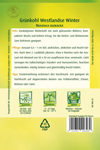 Quedlinburger Grünkohl Westlandse Winter GP 5 g - Gemüsesamen
