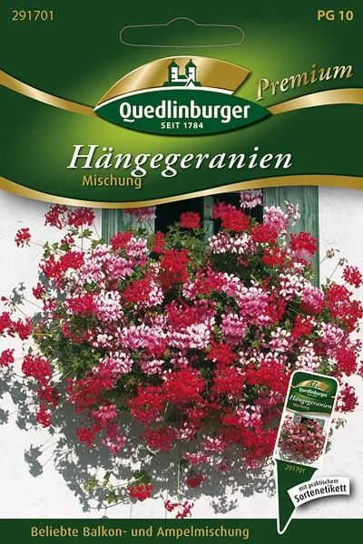 Quedlinburger Hängegeranien Mischung - Blumensamen