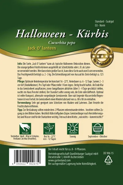 Quedlinburger Halloween-Kürbis Jack Olantern - Gemüsesamen