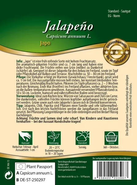Quedlinburger Jalapeno Japo - Gemüsesamen