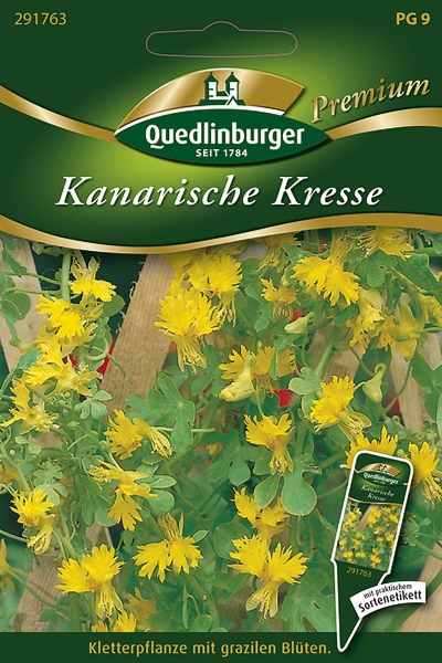 Quedlinburger Kanarische Kresse - Blumensamen