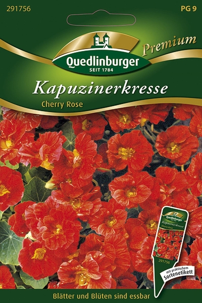 Quedlinburger Kapuzinerkresse Cherry Rose - Premium Blumensamen
