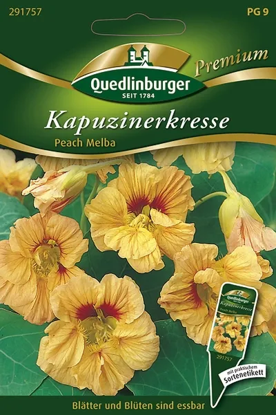 Quedlinburger Kapuzinerkresse Peach Melba - Blumensamen Quedlinburger Kapuzinerkresse Peach Melba - Blumensamen