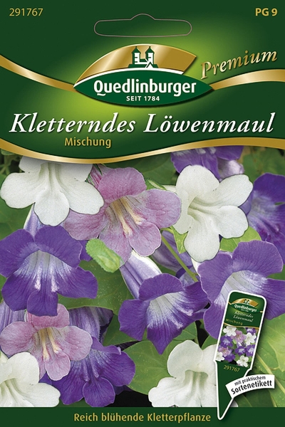 Quedlinburger Kletterndes Löwenmaul Mischung - Blumensamen