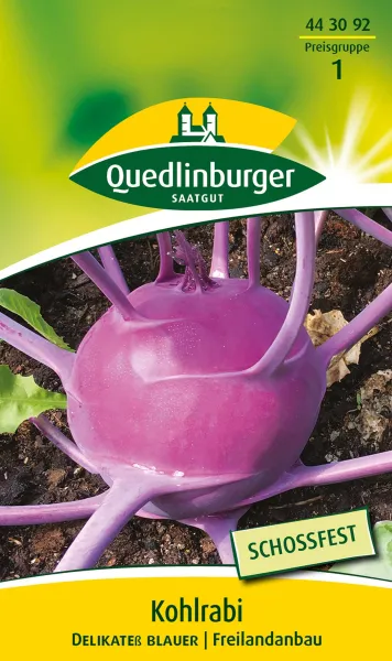 Quedlinburger Kohlrabi Delikateß blauer - Gemüsesamen Quedlinburger Kohlrabi Delikateß blauer - Gemüsesamen