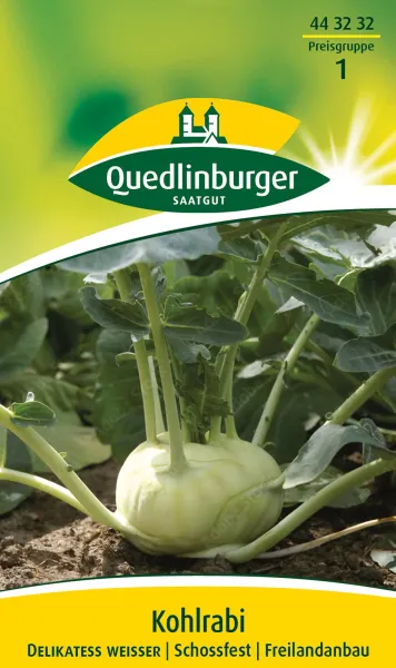 Quedlinburger Kohlrabi Delikateß weißer - Gemüsesamen