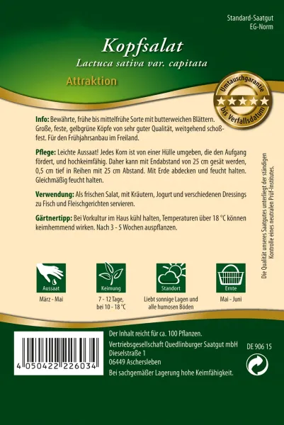 Quedlinburger Kopfsalat Attraktion Pillensaat - Premium Gemüsesamen